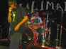 trunk - live 20092003 - Sauveterre de Bearn